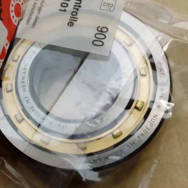 Cylindrical roller bearing NUP308